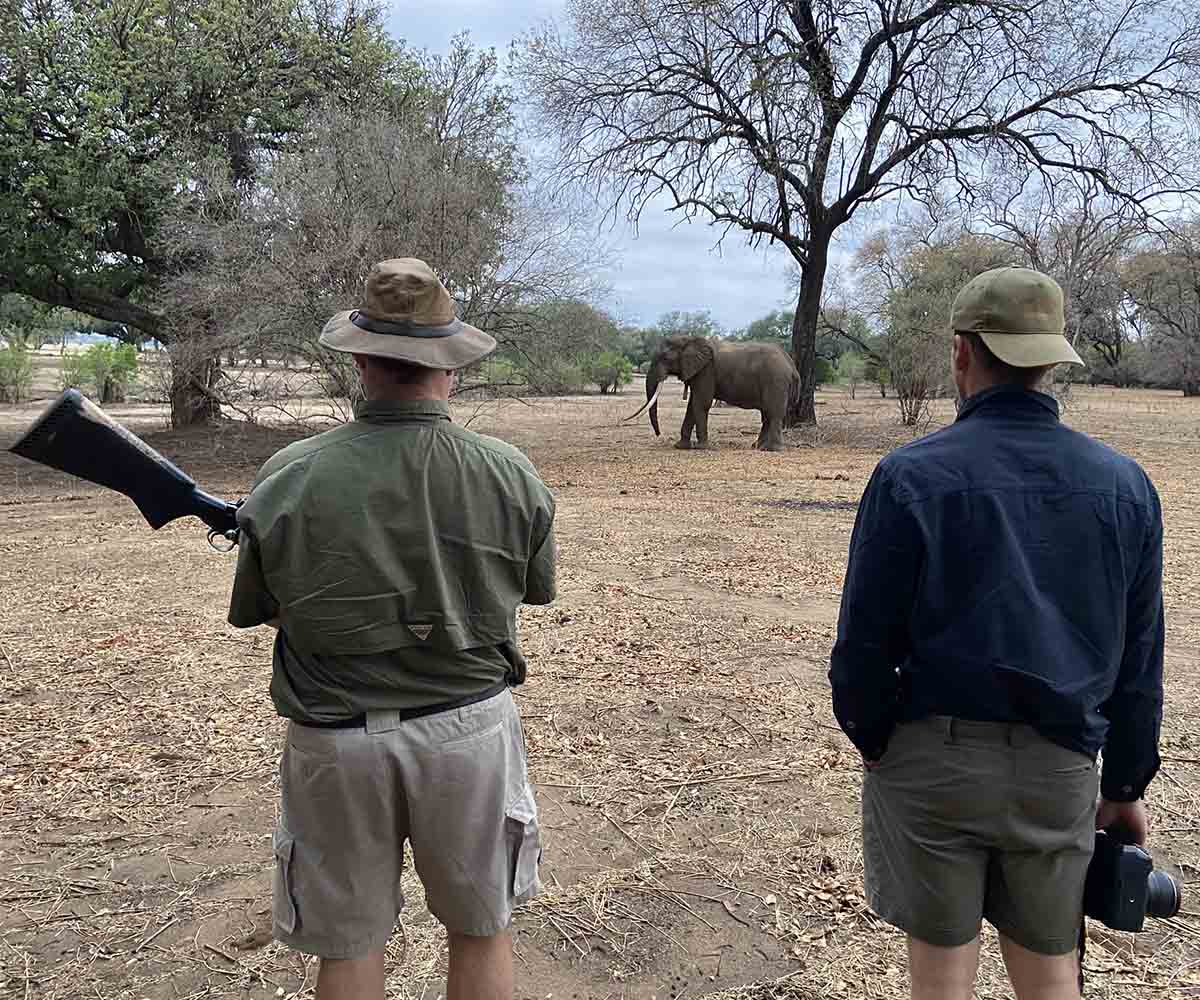 walking safari, Mana Pools