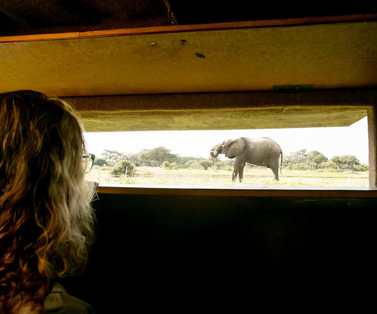 The Hide Hwange national park